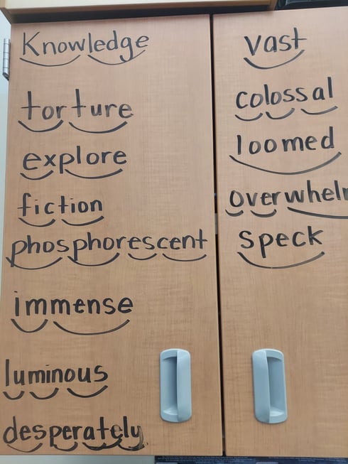 A classroom cabinet that reads the following words: knowledge, torture, explore, fiction, phosphorescent, immense, luminous, desperately, vast, colossal, loomed, overwhelmed, speck. 